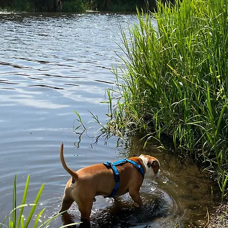 Haus Am Teich Lägenhet *