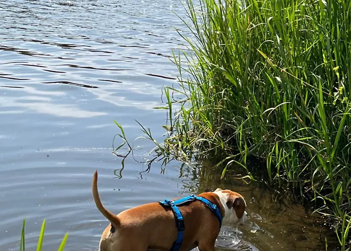 Haus Am Teich Lejlighed *